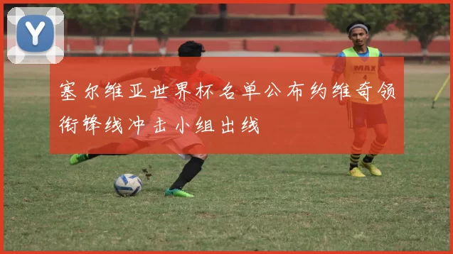 塞尔维亚世界杯名单公布约维奇领衔锋线冲击小组出线