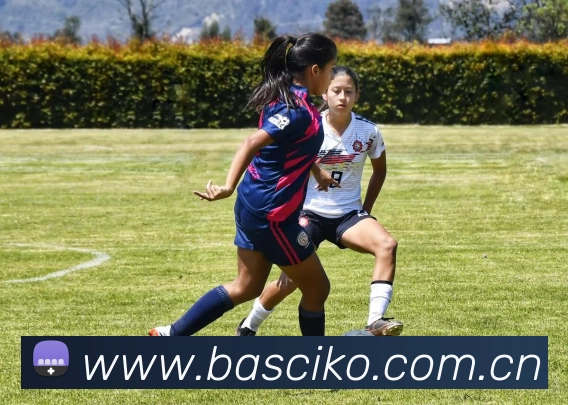 九游j9在线官网 - 九游j9(中国)平台生态图